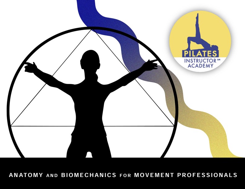 Pilates Teacher Academy Anatomy and Biomechanics for Movement Instructors